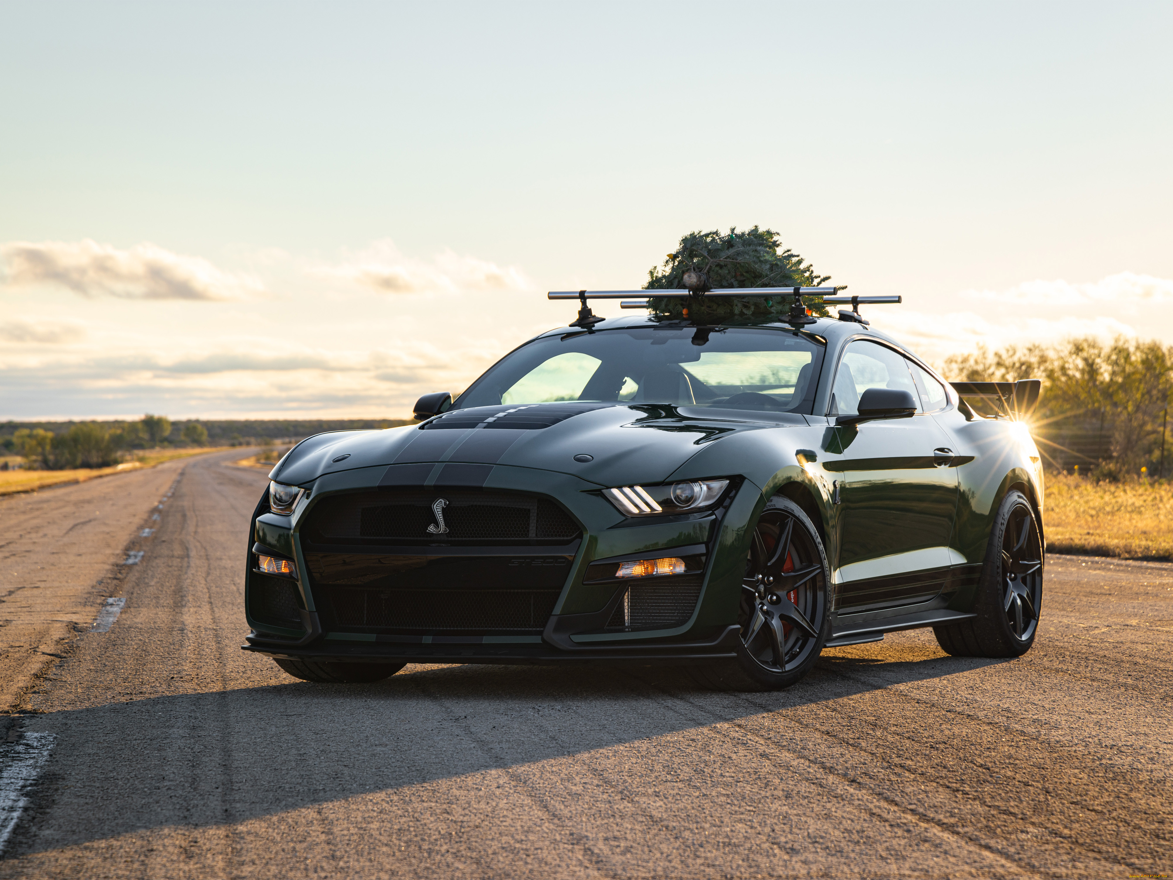 , mustang, hennessey